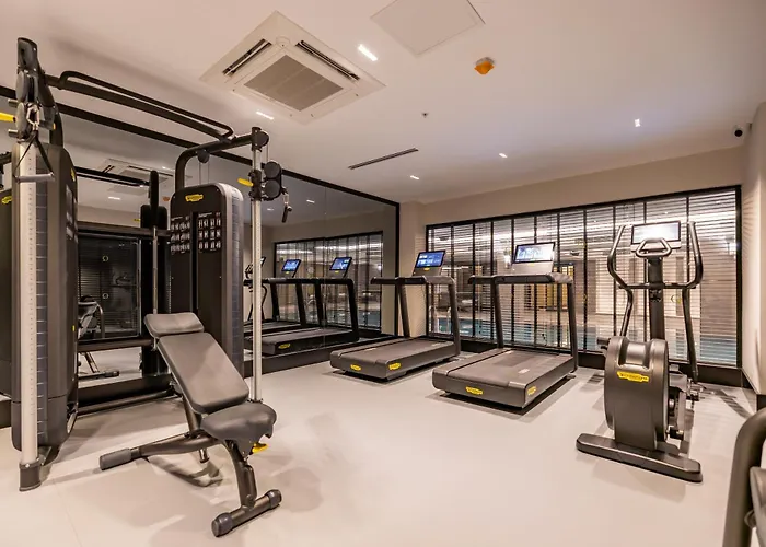 Qlusive קוסדסי